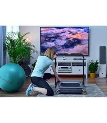 Kingsmith Walking Pad TRR1F electric treadmill