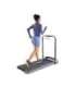 Kingsmith Walking Pad TRR2F R2 electric treadmill