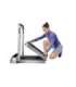 Kingsmith Walking Pad TRR2F R2 electric treadmill
