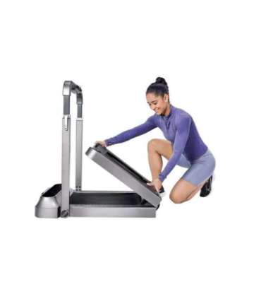 Kingsmith Walking Pad TRR2F R2 electric treadmill
