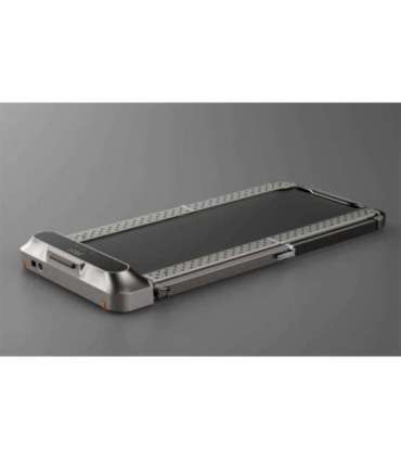 Kingsmith Walking Pad TRR2F R2 electric treadmill