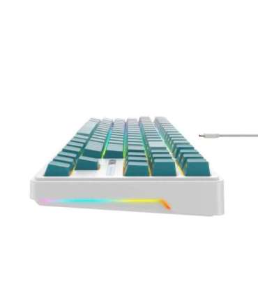 Havit KB901L - gaming keyboard (white and green)