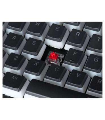 GAMING KEYBOARD ENDORFY OMNIS PUD KAILH RD RGB