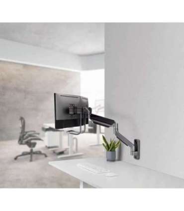 Gembird Laikiklis Adjustable wall 2-display mounting arm 17-32inch iki 8kg