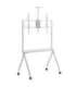 Maclean TV stand / cart, camera shelf, on casters, 55-100", max load 120kg/10kg shelf, max. VESA 900x600, white, MC-114