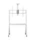 Maclean TV stand / cart, camera shelf, on casters, 55-100", max load 120kg/10kg shelf, max. VESA 900x600, white, MC-114