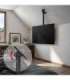Maclean ceiling mount for TV, max load 60kg, 43-86", max VESA 600x400, MC-112 B