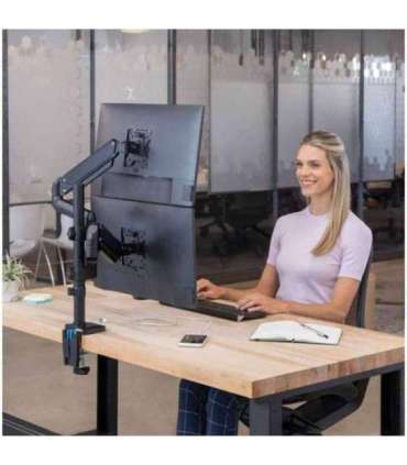 Fellowes Ergonomics arm for 2 vertical monitors - Platinum series
