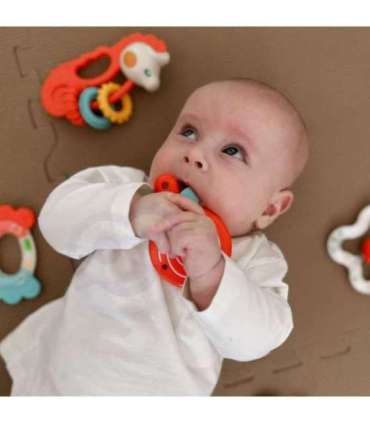 WOOPIE BABY sensoorne närimis- ja kõristikomplekt