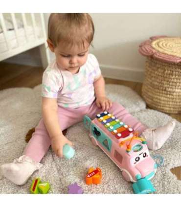 WOOPIE BABY muusikaline mänguauto-sorteerija ksülofoniga, roosa