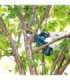 Chainsaw for branches MAKITA DUC101Z01 Blue, Black