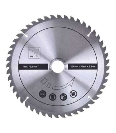 Scheppach HS100S (SCH5901310905) table saw