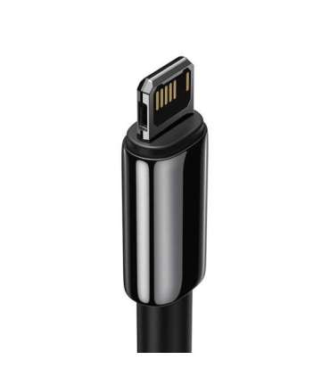 Baseus Tungsten Gold Cable USB to iP 2.4A 2m (black)