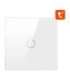 Smart Light Switch ZigBee Avatto ZTS02-EU-W1 1 Way TUYA (white)