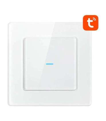 Smart Light Switch WiFi Avatto N-TS10-W1 1 Way TUYA (white)
