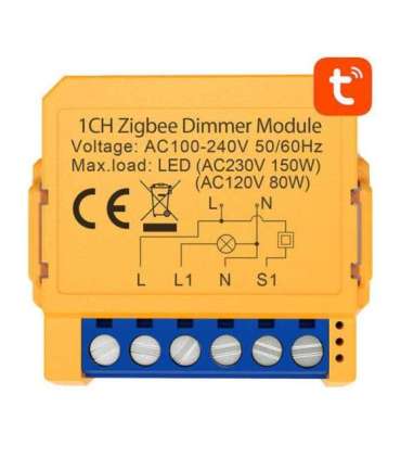 Smart socket switch ZigBee Avatto ZDMS16-2 TUYA