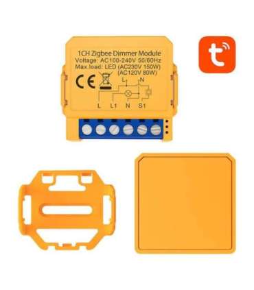 Smart socket switch ZigBee Avatto ZDMS16-2 TUYA