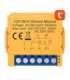 Smart socket switch WiFi Avatto DMS16-2 TUYA