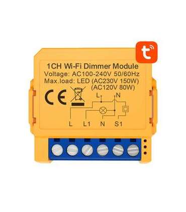 Smart socket switch WiFi Avatto DMS16-2 TUYA