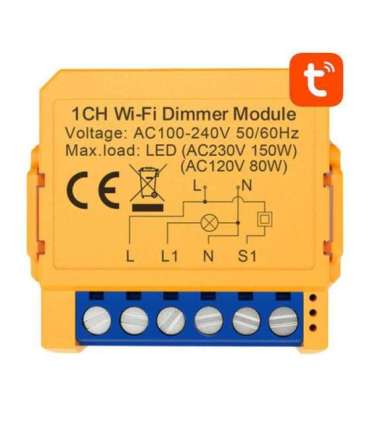 Smart socket switch WiFi Avatto DMS16-2 TUYA