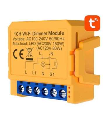 Smart socket switch WiFi Avatto DMS16-2 TUYA