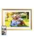 Arzopa D10 (gold) 10.1" digital photo frame