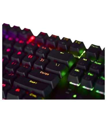 GAMING KEYBOARD ENDORFY THOCK TKL KAILH BL RGB