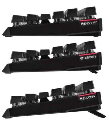 Keyboard GAM. ENDORFY THOCK TKL KAILH RD RGB