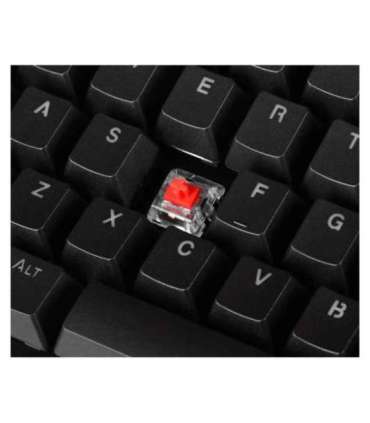 Keyboard GAM. ENDORFY THOCK TKL KAILH RD RGB