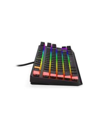 Klávesnice GAM. ENDORFY THOCK TKL PUD KAILH RD RGB