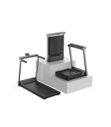 Electric treadmill Kingsmith TREADMILL G1