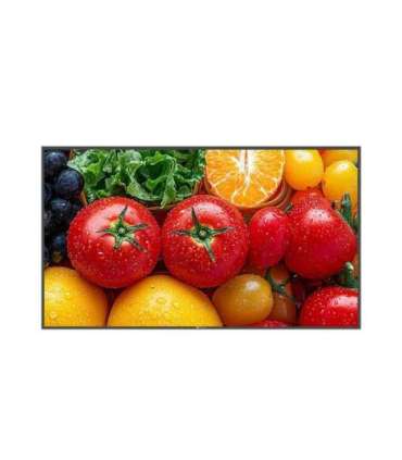 AG Neovo QM-5503 Flat panel monitor Digital Signage 55" 500 cd/m² 4K Ultra HD Black