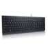 Lenovo Essential keyboard Universal USB QWERTY US English Black