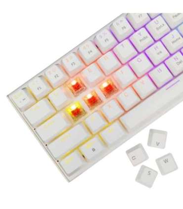 White Shark GK-002211V2  Wakizashi 2 White US Red Switches