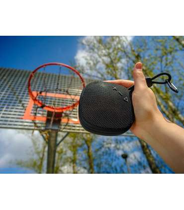 Tracer 47617 Toran TWS BT