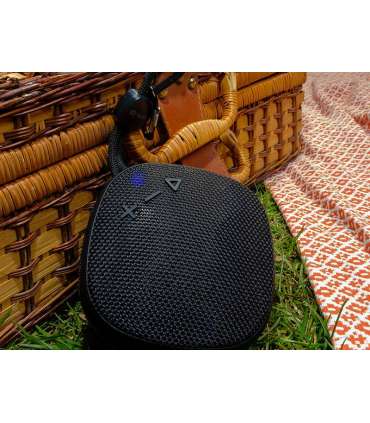 Tracer 47617 Toran TWS BT