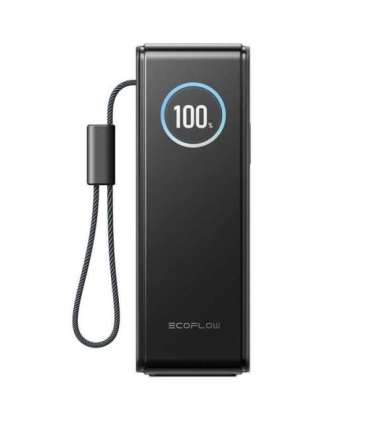 EcoFlow RAPID Powerbank 25000mAh, 170W (built-in 100W cables).