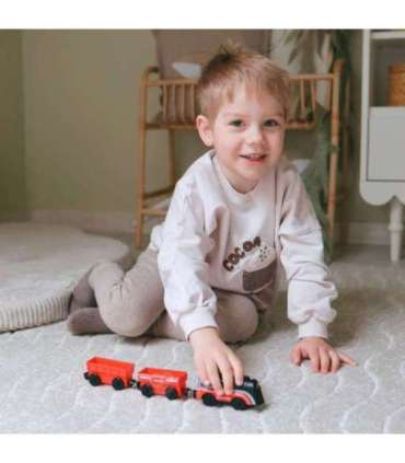 WOOPIE elektriveduriga rong magnetiliste vagunitega