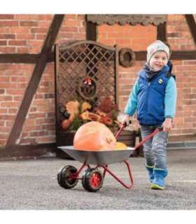 Rolly Toys kahe rattaga metallist aiakäru lastele