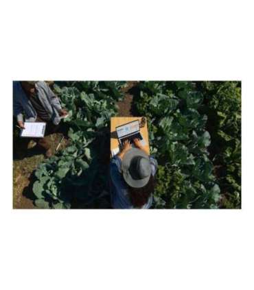 Apple MacBook Pro Silver 16 " 3456 x 2234 pixels Apple M4 Max 36 GB Solid-state drive capacity 1000 GB |