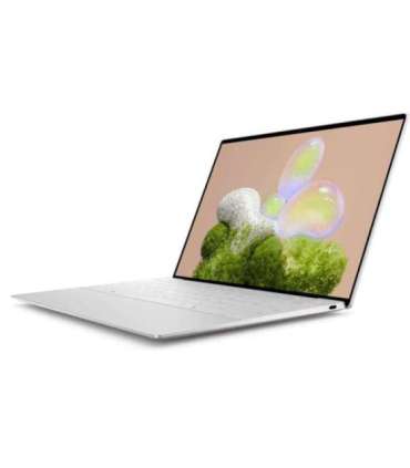 Dell XPS 13 9350 Platinum 13.4 " FHD+ 1920 x 1200 pixels Anti-glare Intel Core Ultra 7 256V 16 GB |