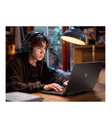 Acer Nitro V 17 AI ANV17-41-R3C8 Obsidian Black 17.3 " IPS FHD 1920 x 1080 pixels AMD Ryzen 5 240 16