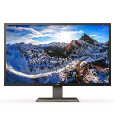 Philips P Line 439P1/00 43 " VA 4K UHD 16:9 60 Hz 4  ms 3840 x 2160 400 cd/m² Headphone output |