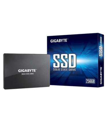 Gigabyte GP-GSTFS31256GTND 256 GB Solid-state drive interface SATA Read speed 520 MB/s Write speed 500 MB/s