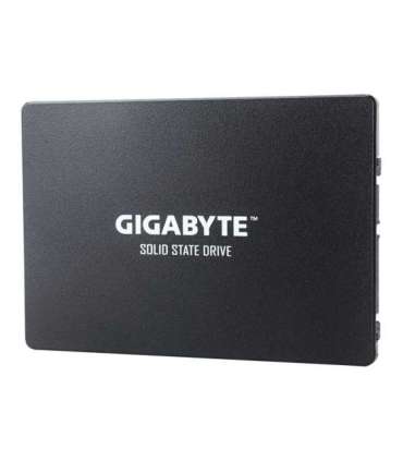 Gigabyte GP-GSTFS31256GTND 256 GB Solid-state drive interface SATA Read speed 520 MB/s Write speed 500 MB/s
