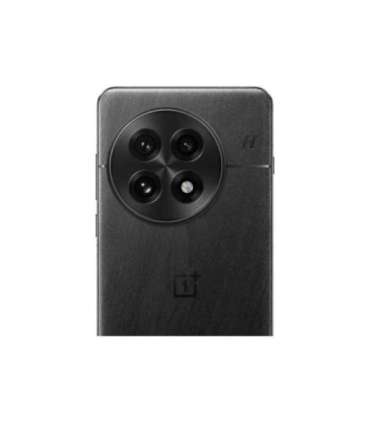 OnePlus 13 Black Eclipse 6.82 " LTPO AMOLED 1440 x 3168 pixels Snapdragon 8 Elite (3 nm) Internal RAM 16 GB