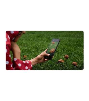 Xiaomi Redmi 15C 4G Midnight Black 6.9 " IPS LCD 720 x 1600 pixels Mediatek Internal RAM 4 GB 128 GB |