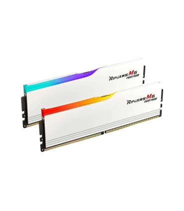 G.Skill Ripjaws M5 Neo RGB 32 GB DDR5 6000 MHz PC/server Registered No ECC No