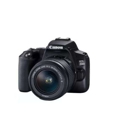 Canon Megapixel 24.1 MP Image stabilizer ISO sensitivity (max) 256000 Wi-Fi Video recording Manual CMOS |