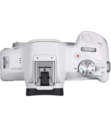 Canon Megapixel 24.2 MP Image stabilizer ISO sensitivity (max) 32000 Display diagonal 2.95 " Wi-Fi Video